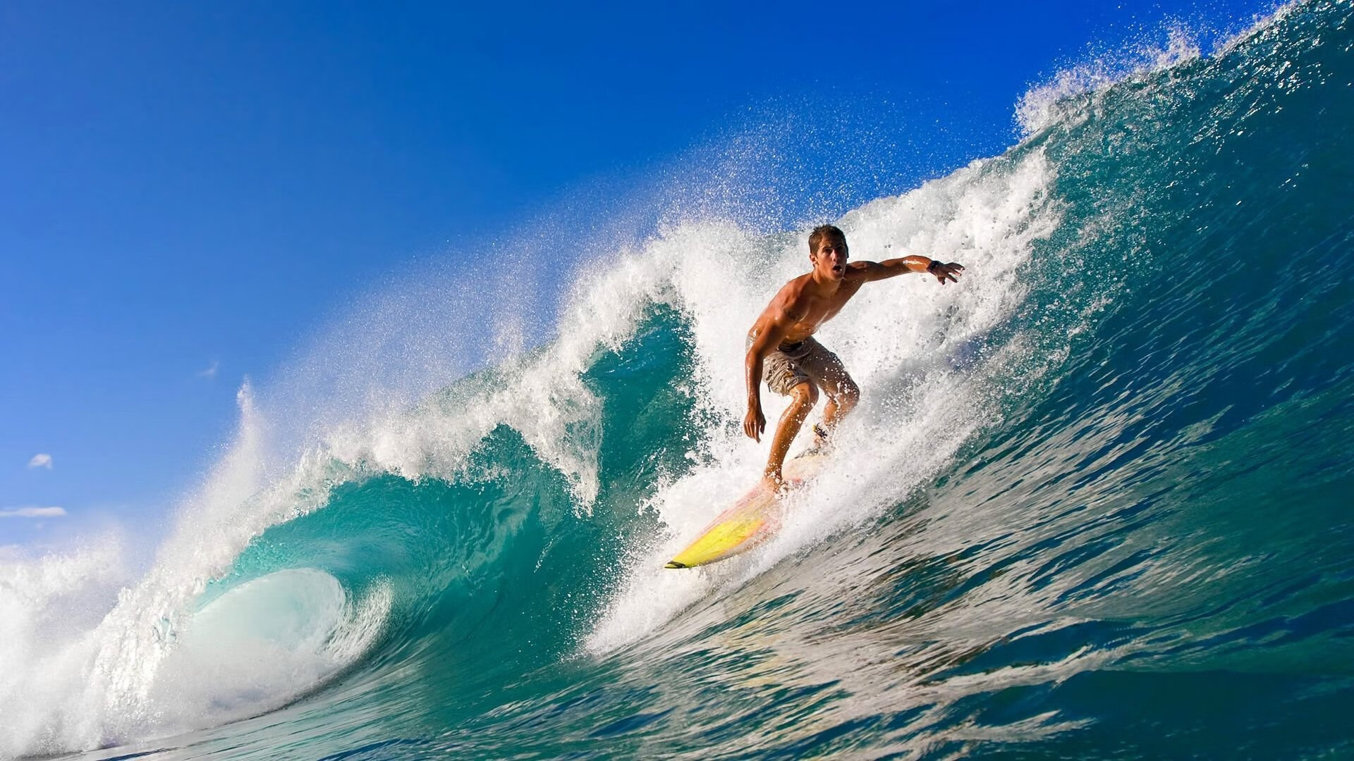 体育新闻中心第一手报道,体育新闻专题报道